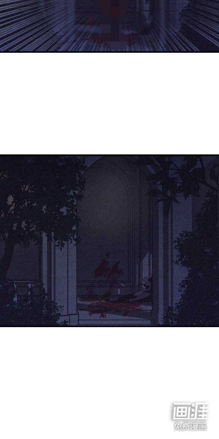 第14章：幻觉