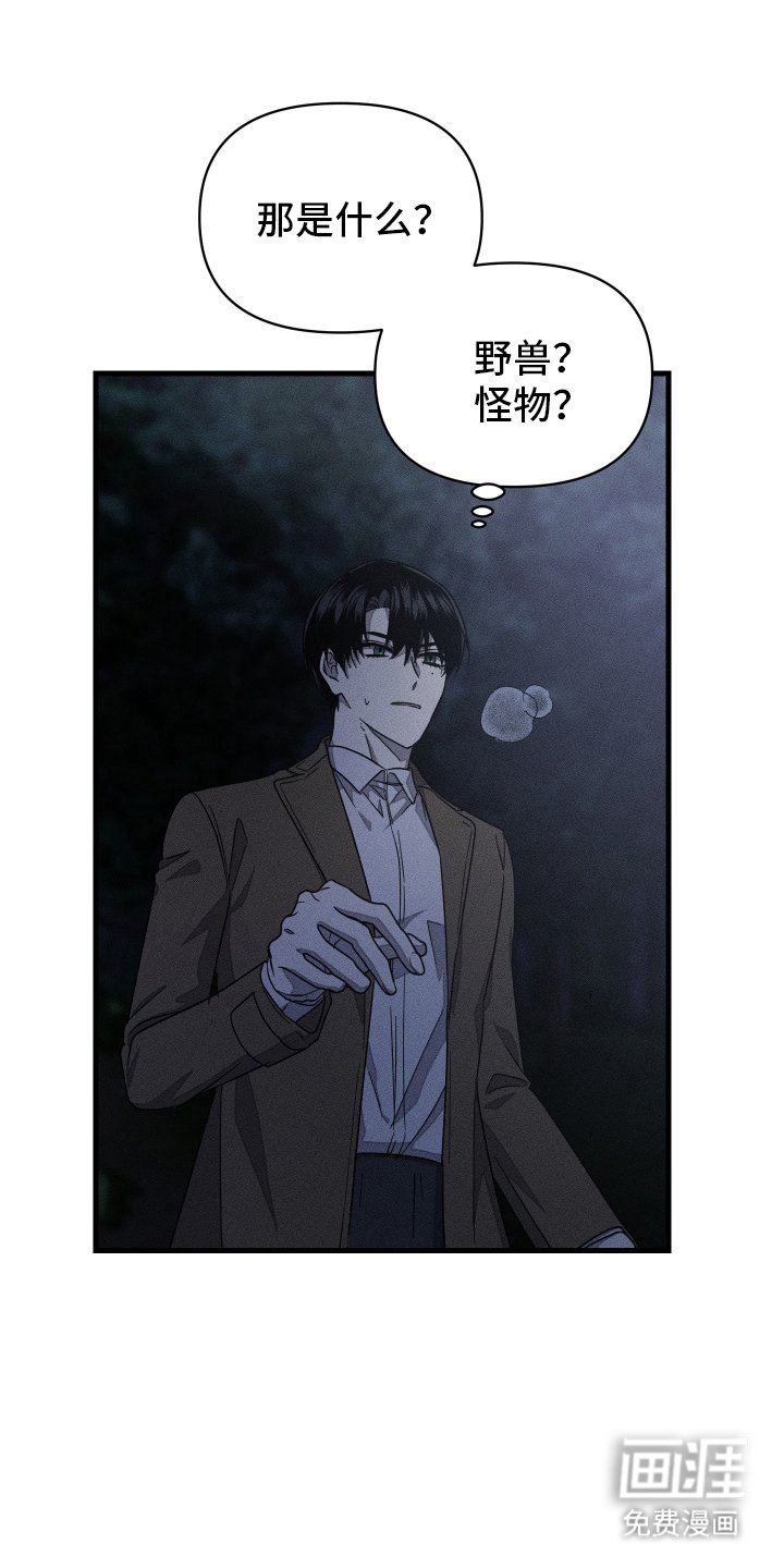 第14章：幻觉