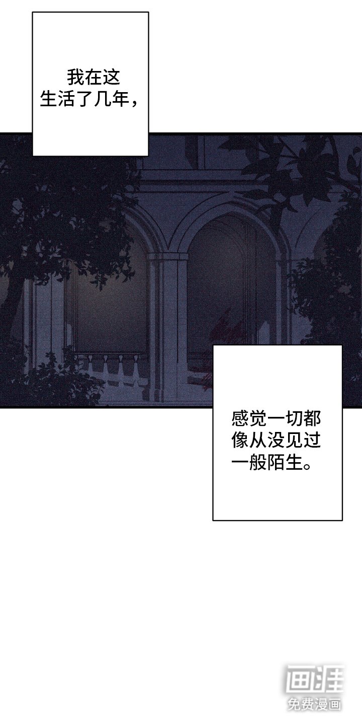 第14章：幻觉