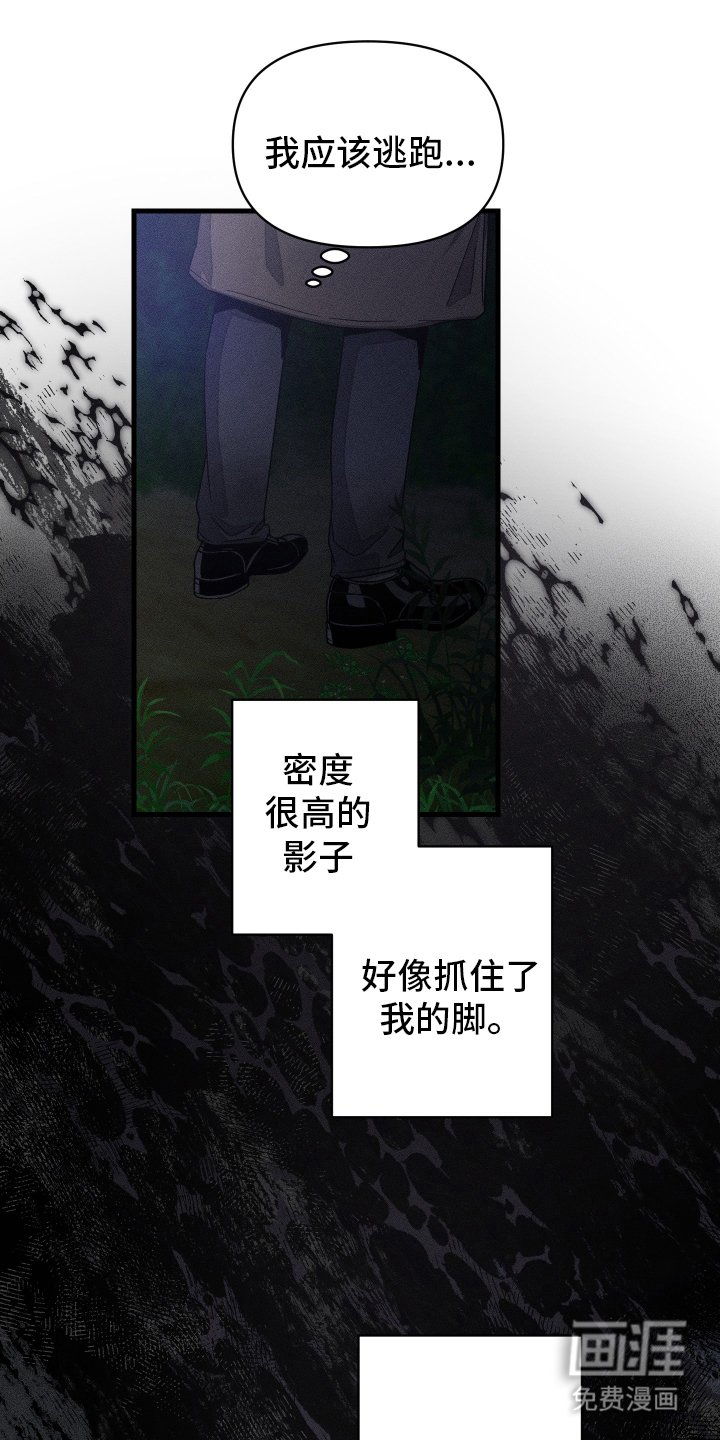 第14章：幻觉