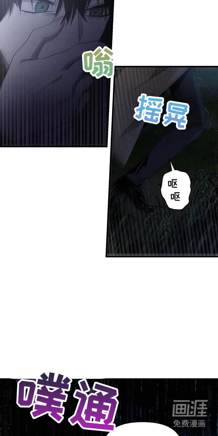 第14章：幻觉