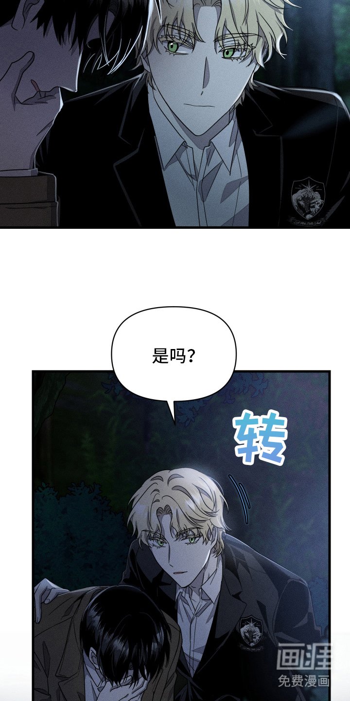 第14章：幻觉