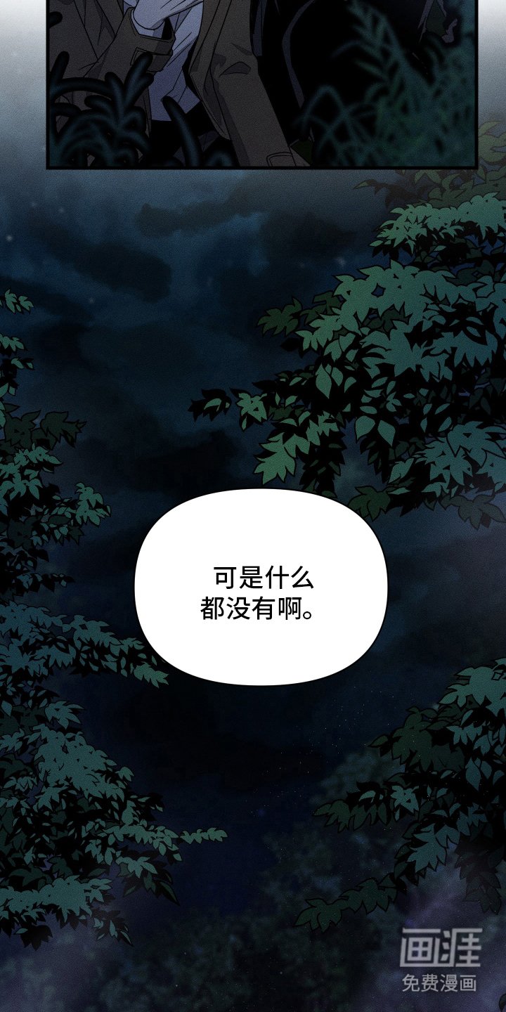 第14章：幻觉