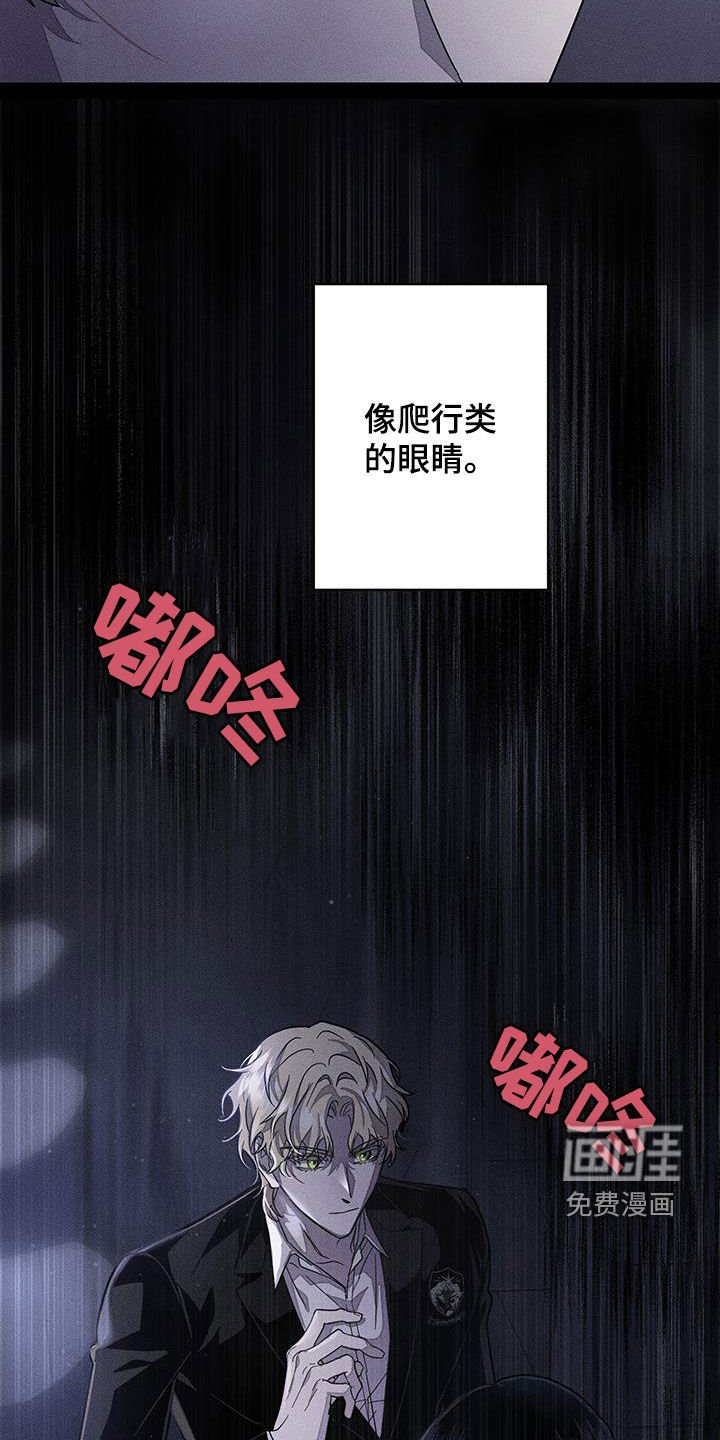 第15章：过分认真