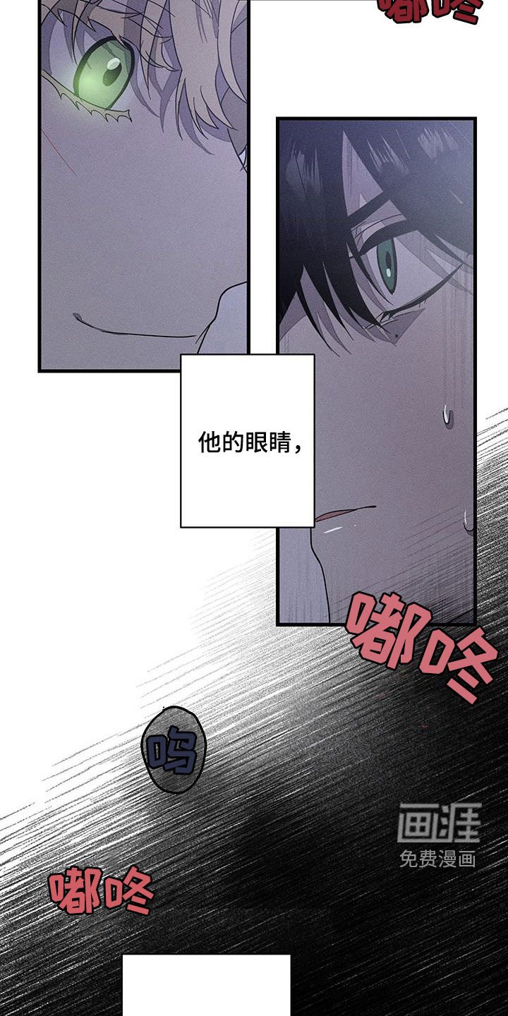 第15章：过分认真