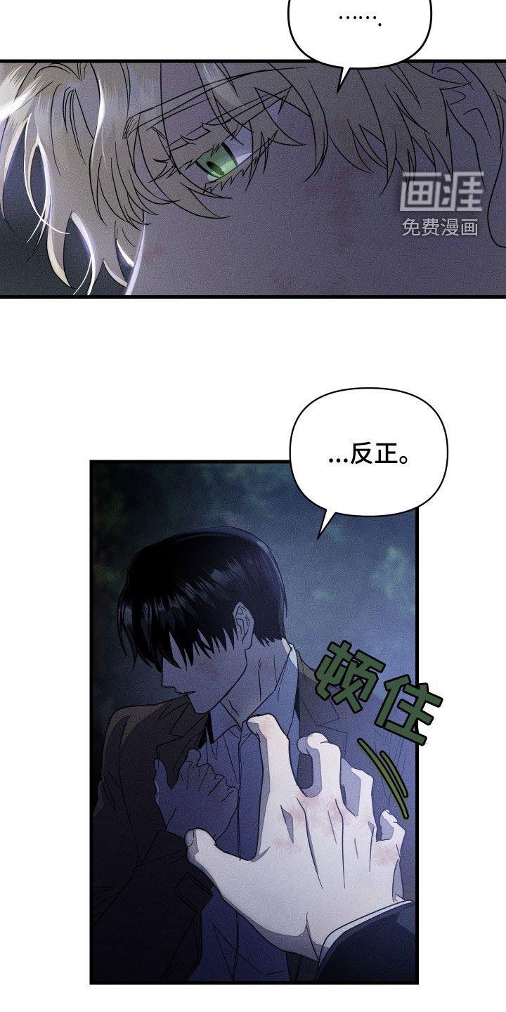 第17章：怪可爱的