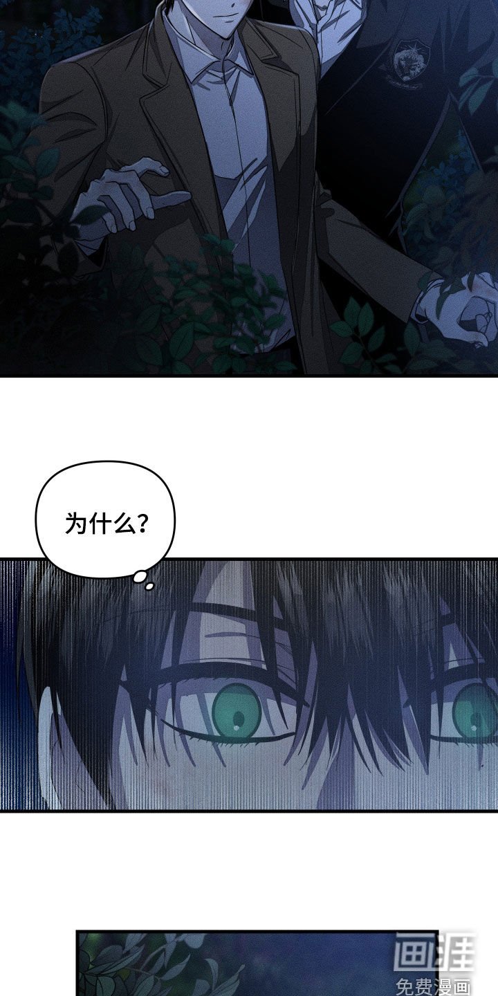 第20章：熟悉感