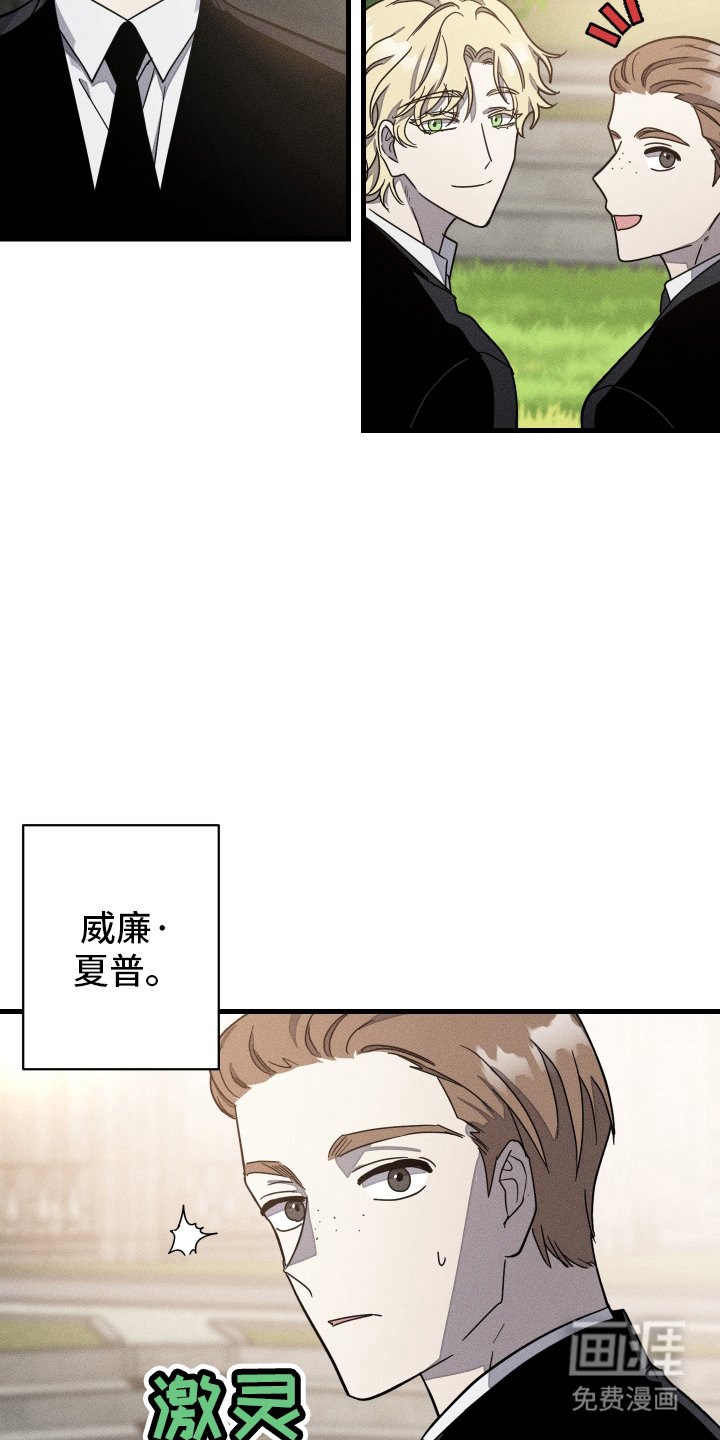 第6章：特殊对待