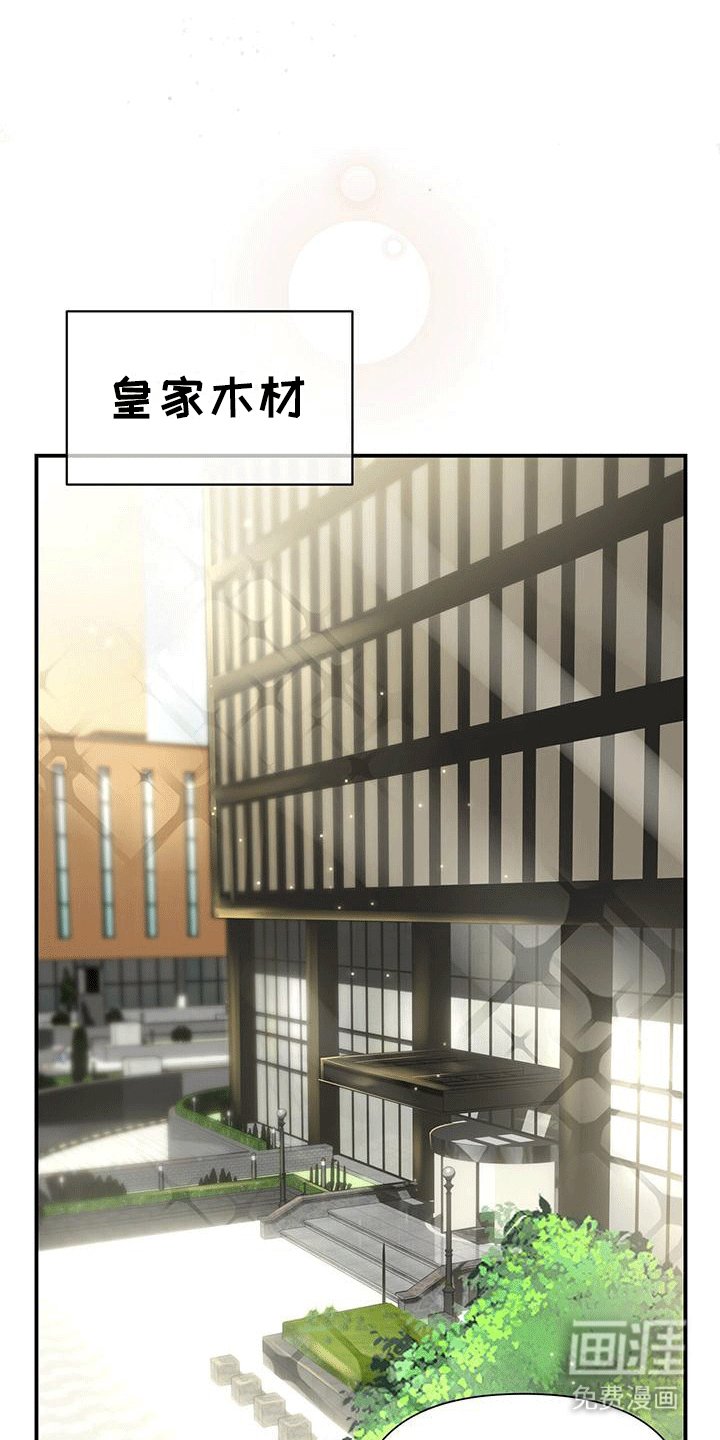 第12章：回公司