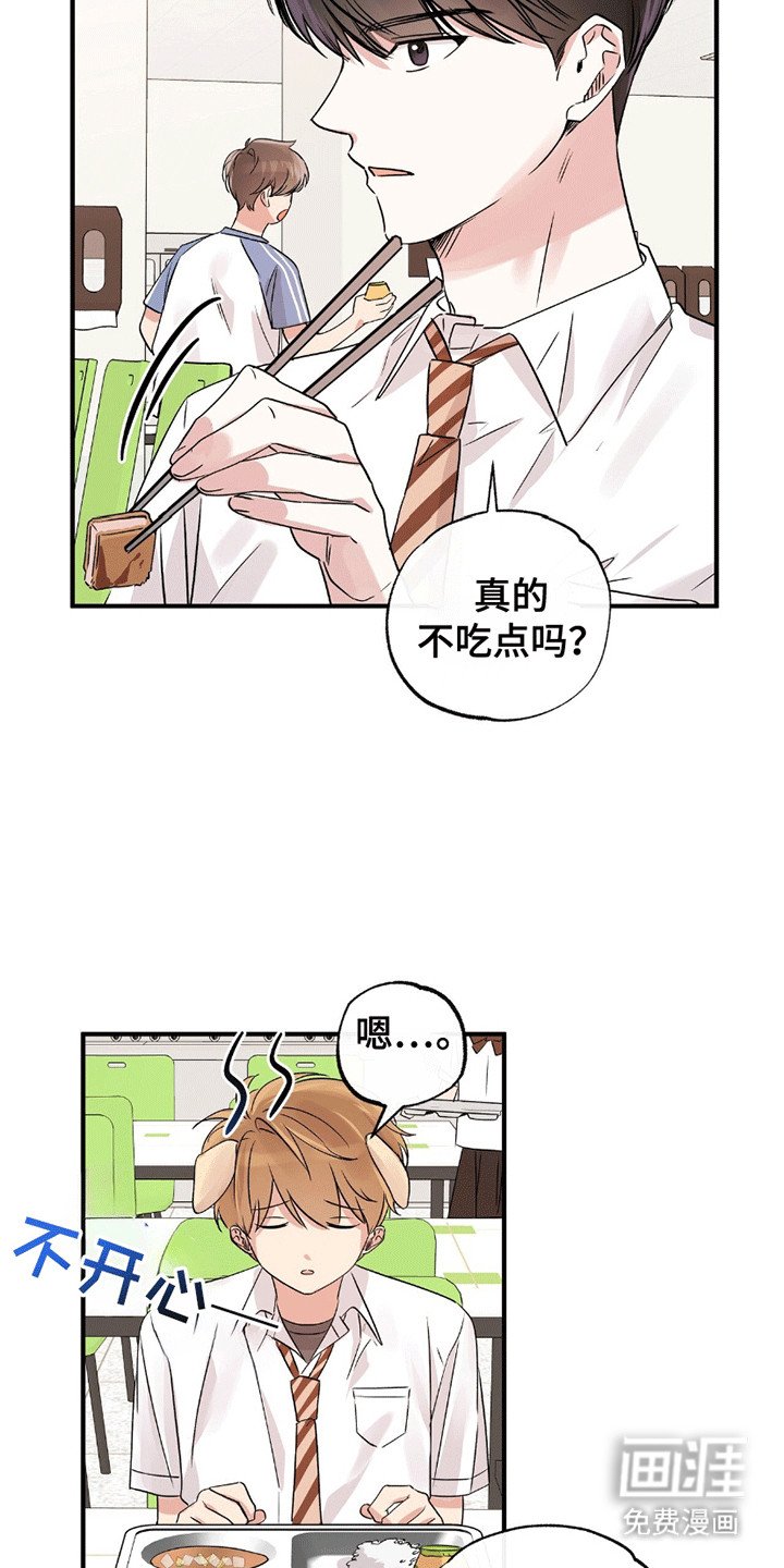 第11章：受伤
