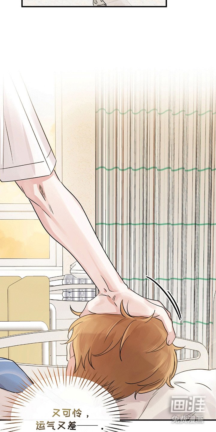 第12章：他的小狗