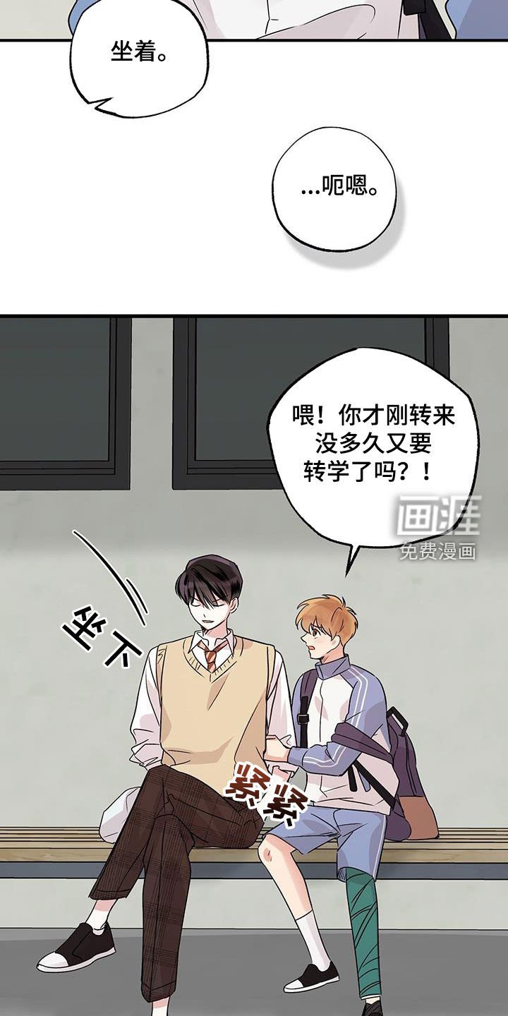 第17章：我想见你了