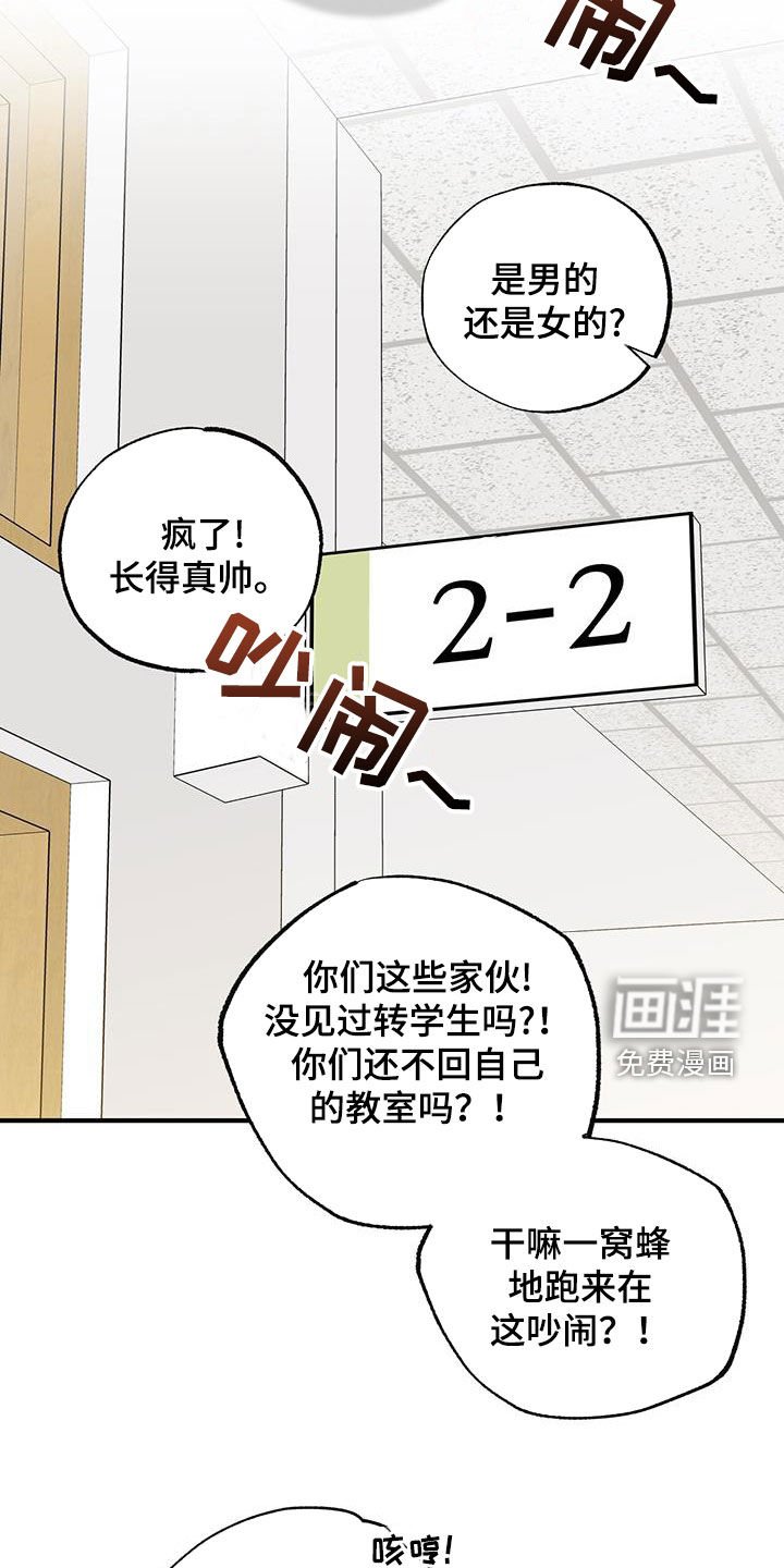 第19章：转学生