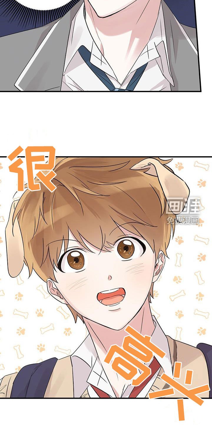 第19章：转学生