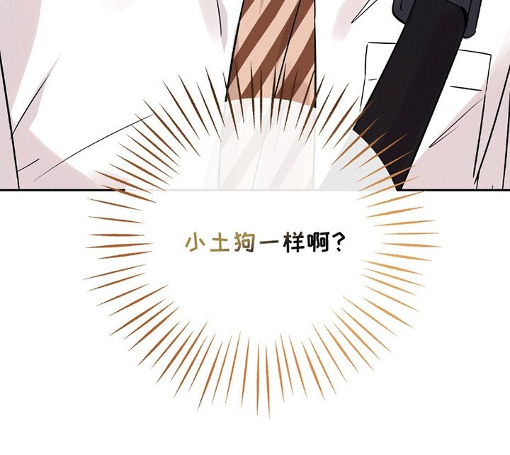第2章：小土狗