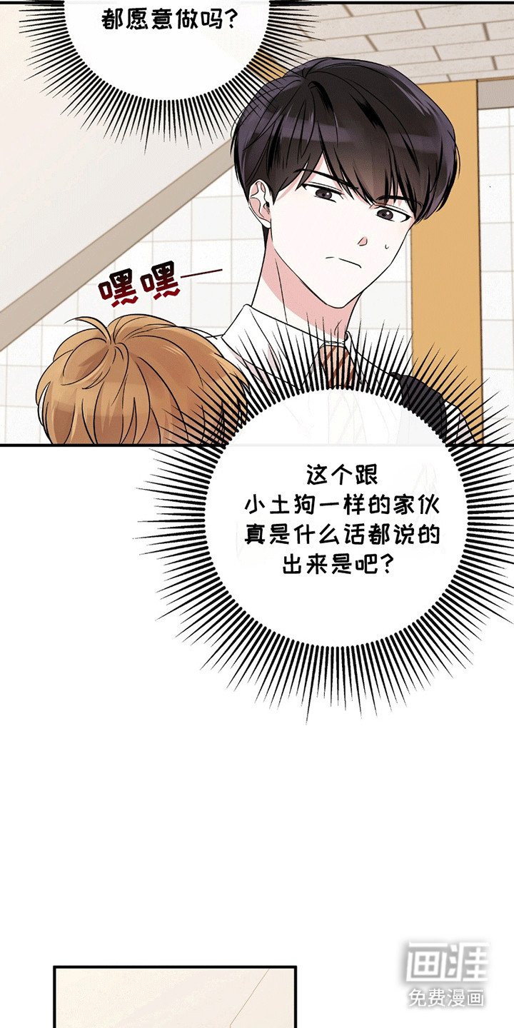 第3章：训练