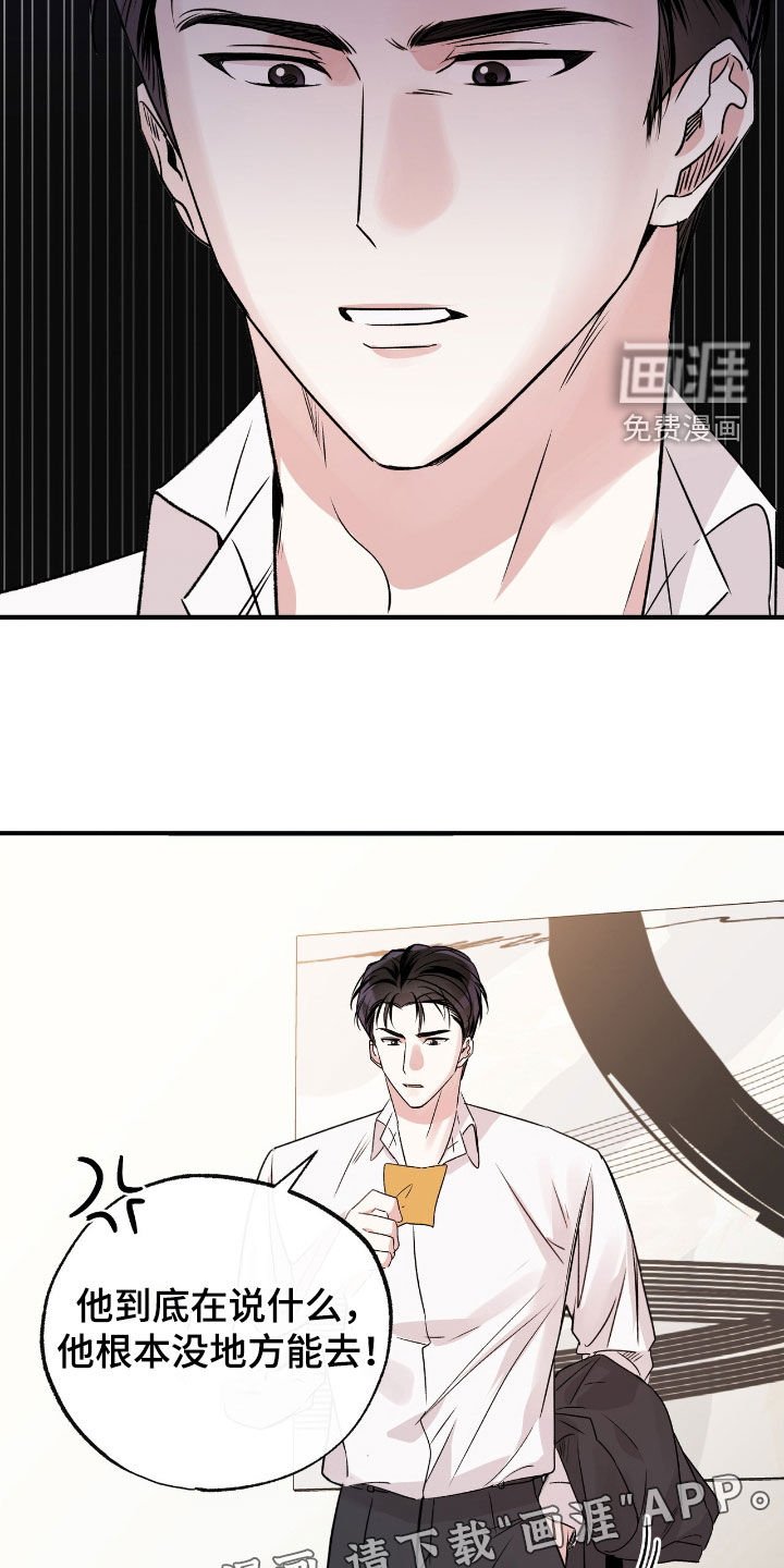 第41章：这只笨狗