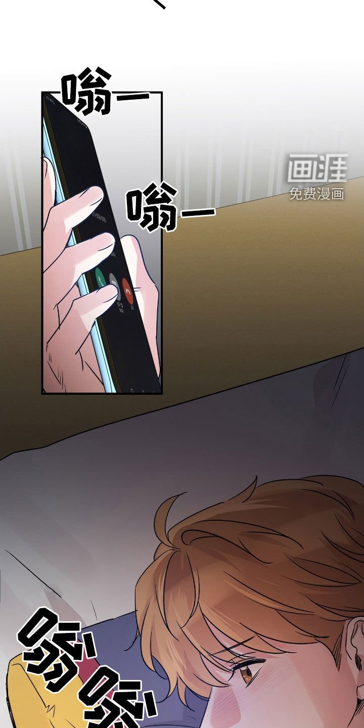 第41章：这只笨狗