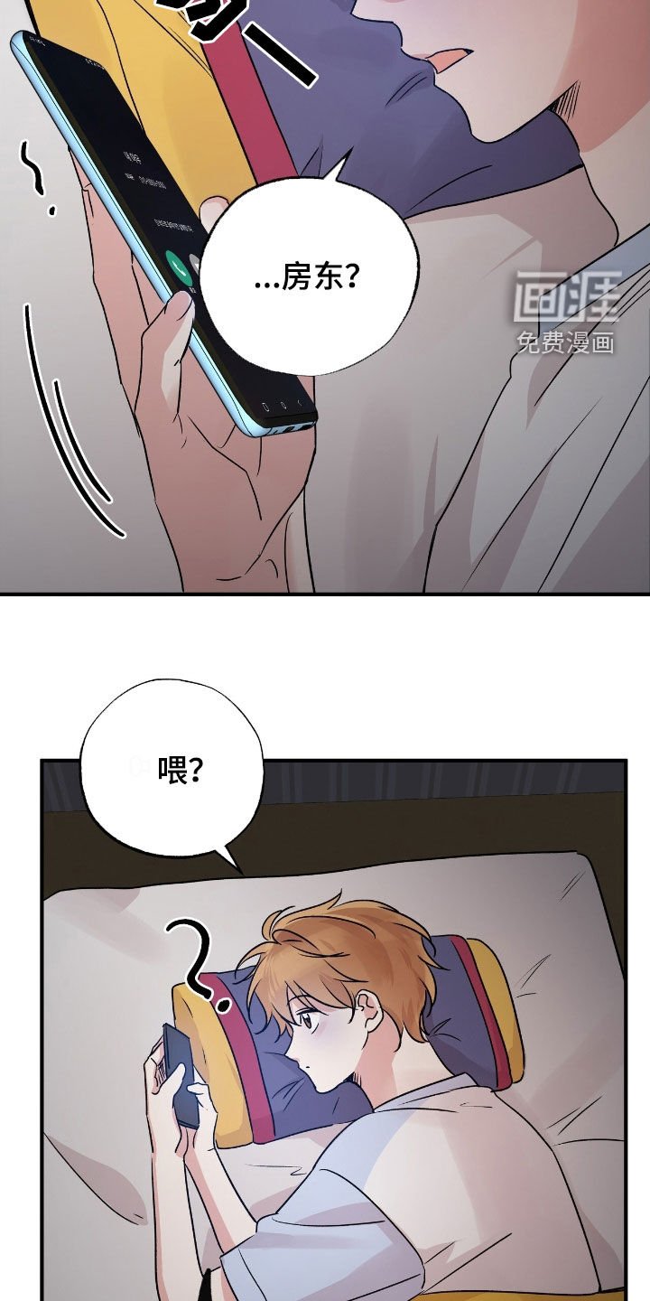 第41章：这只笨狗