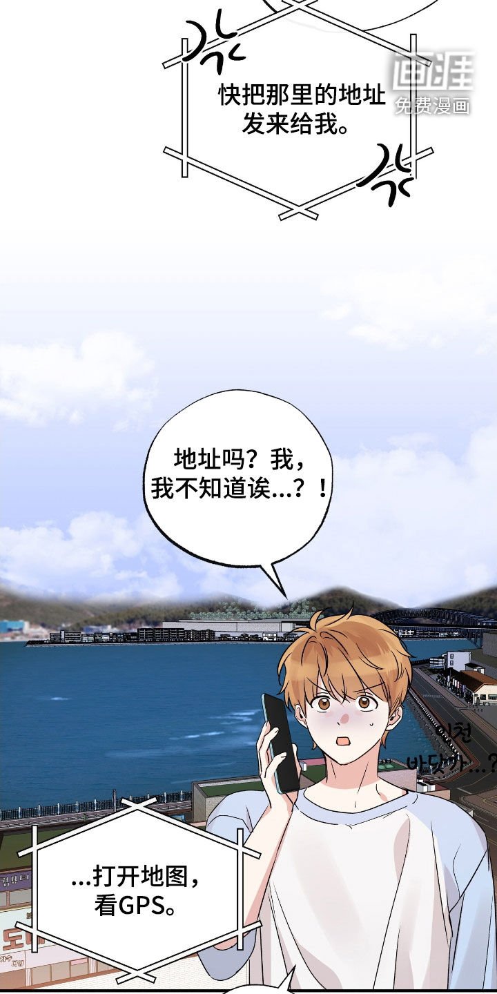 第41章：这只笨狗