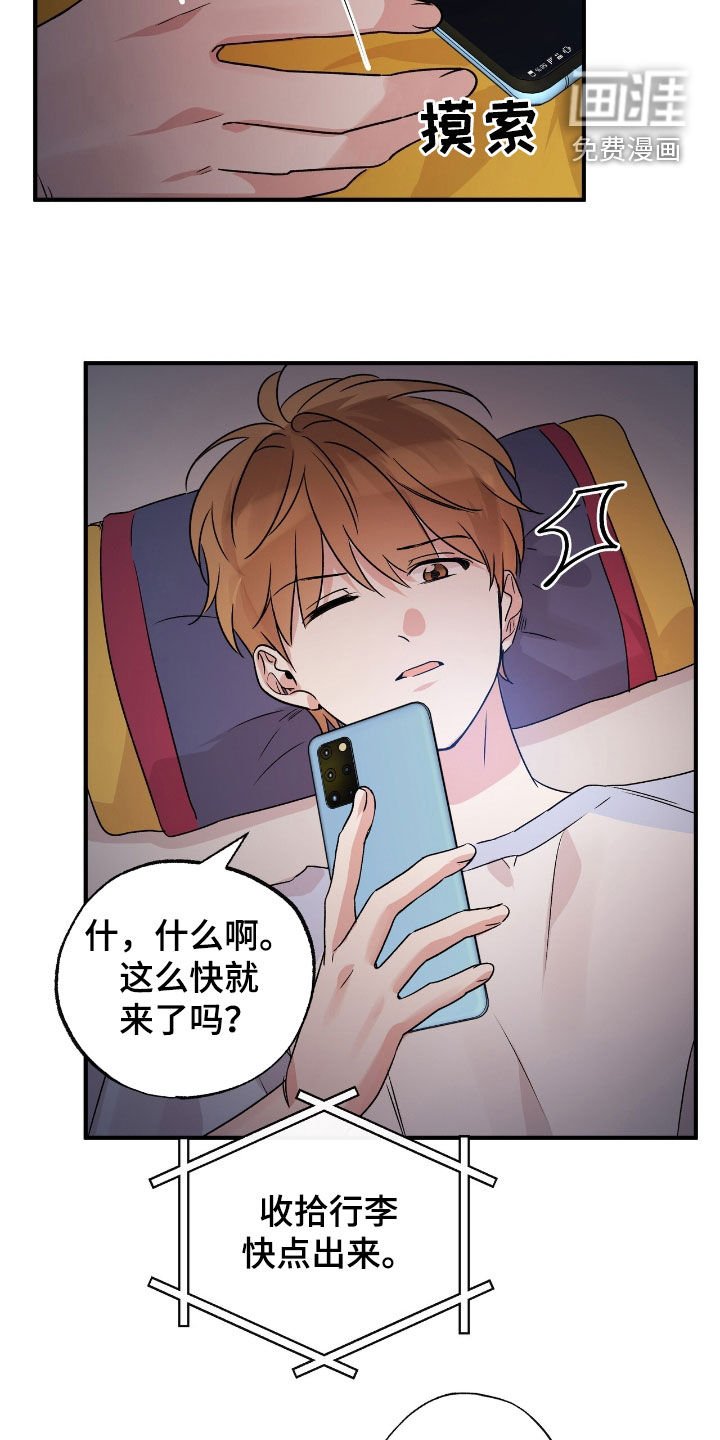 第41章：这只笨狗
