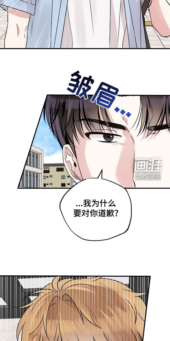 第53章：为什么要道歉