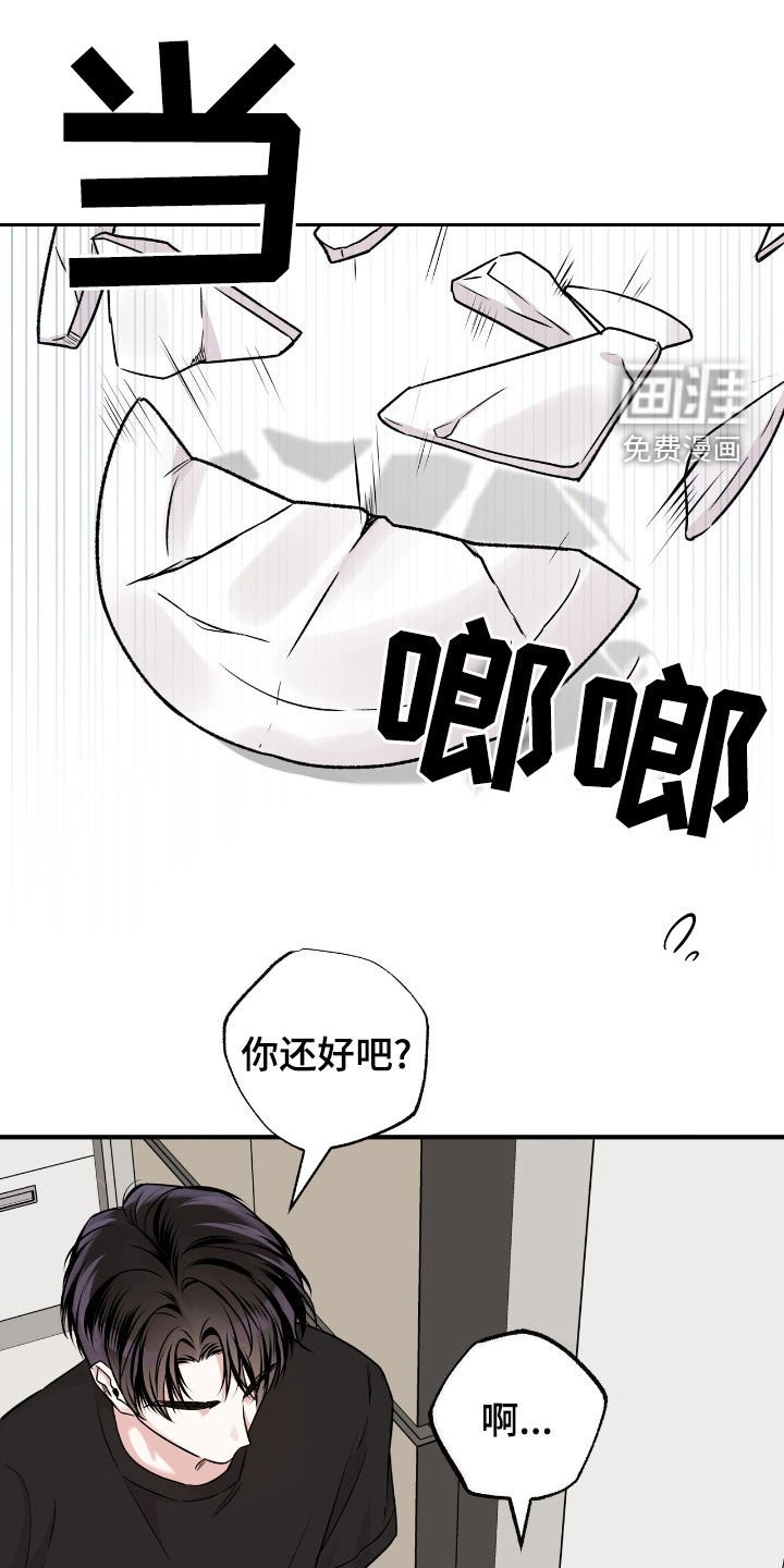 第55章：真的只有你了