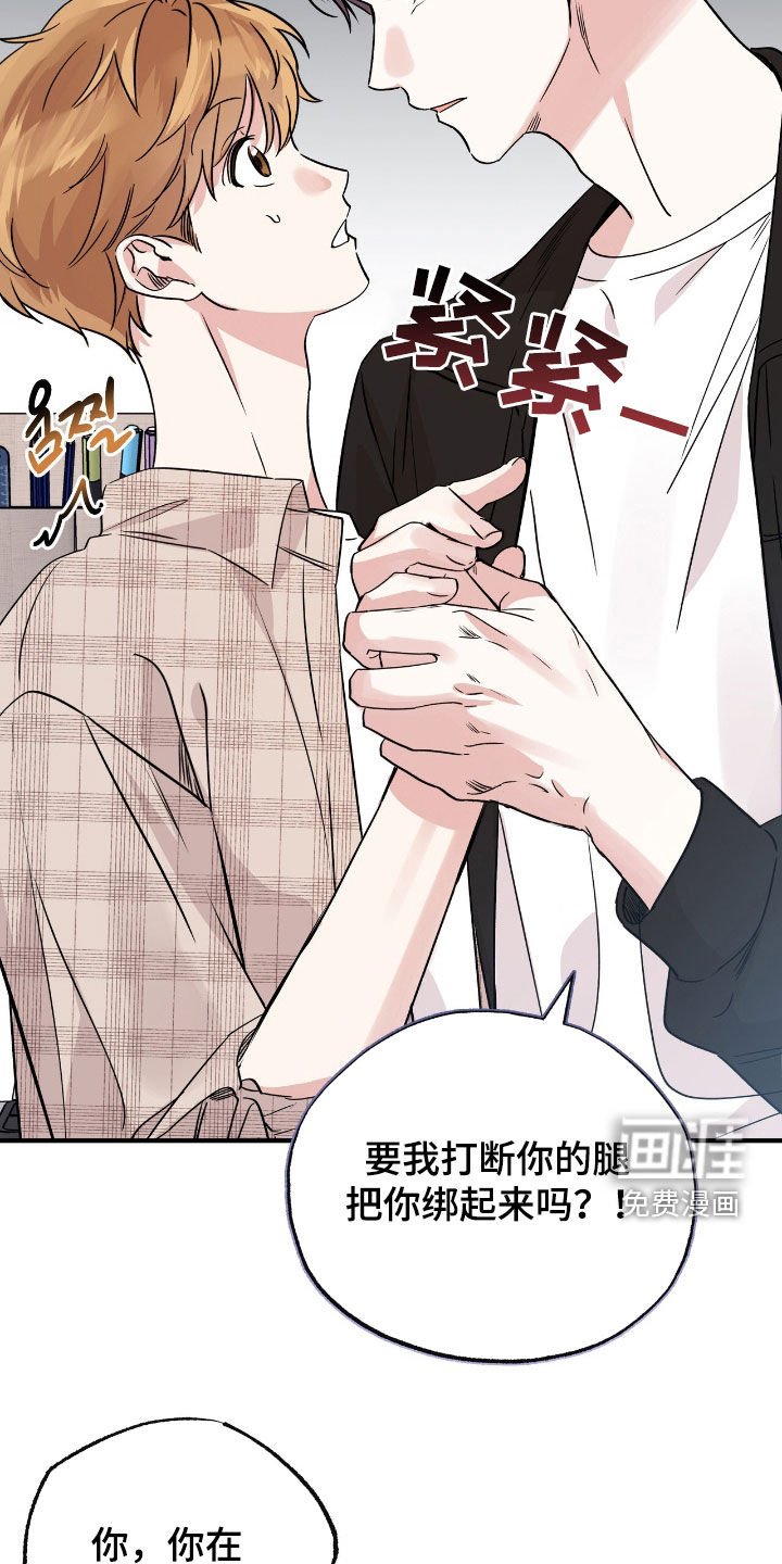 第65章：为什么要抛弃我