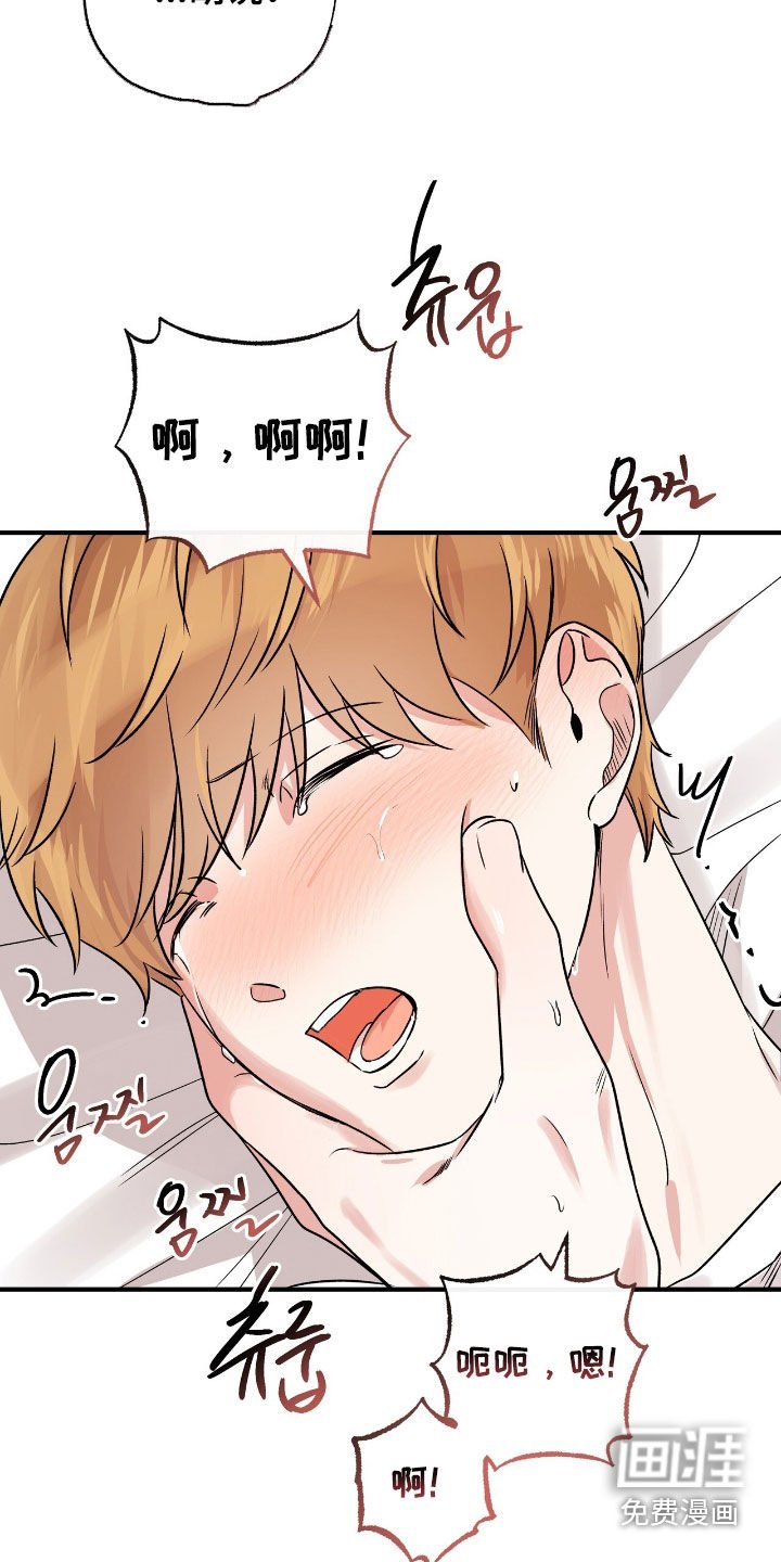 第66章：尽管逃吧