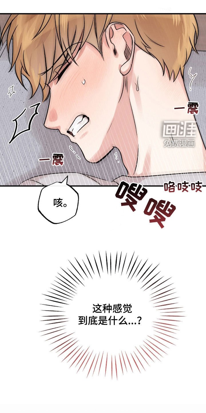 第68章：荒唐的梦