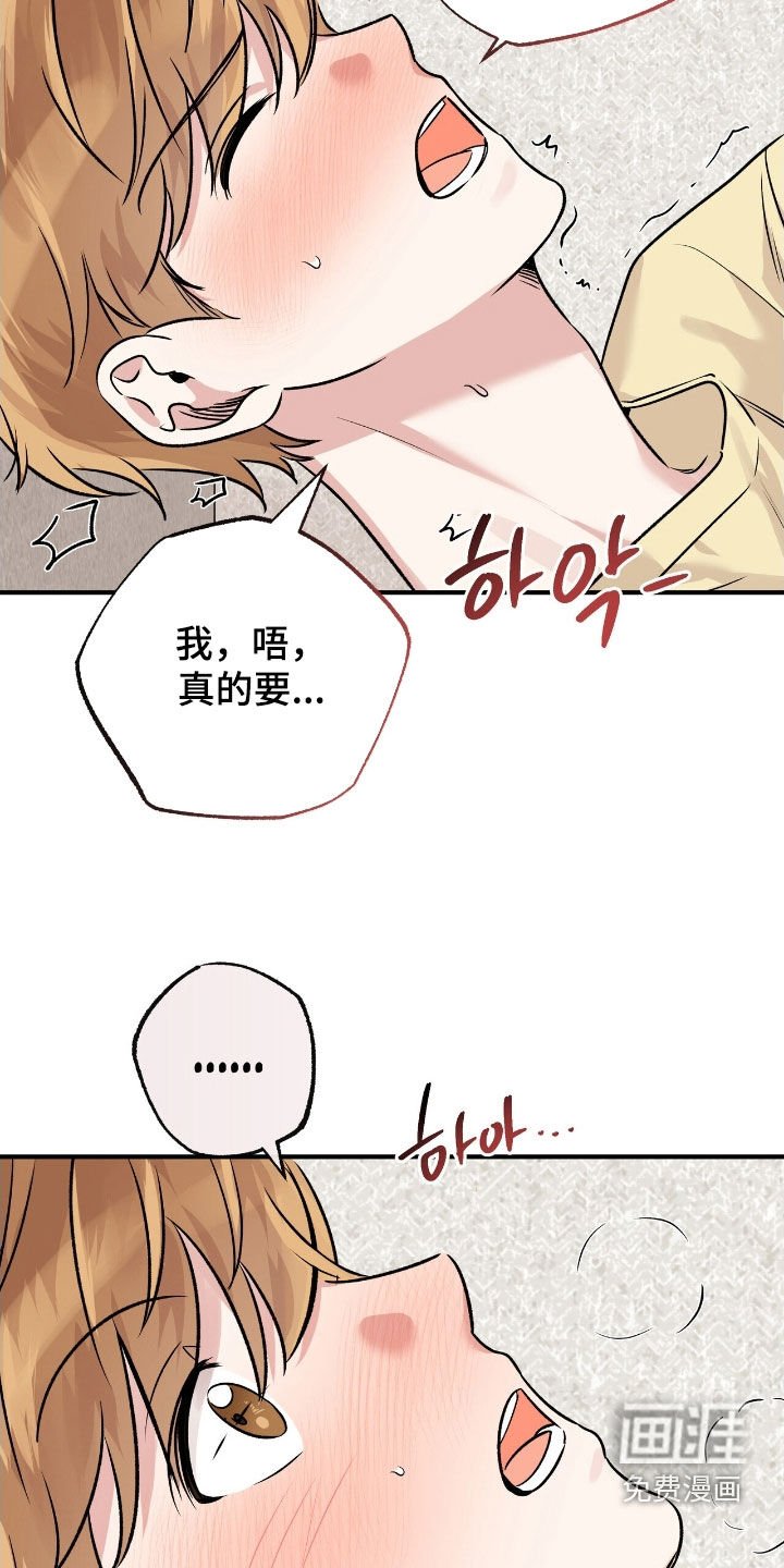 第82章：是因为我吗