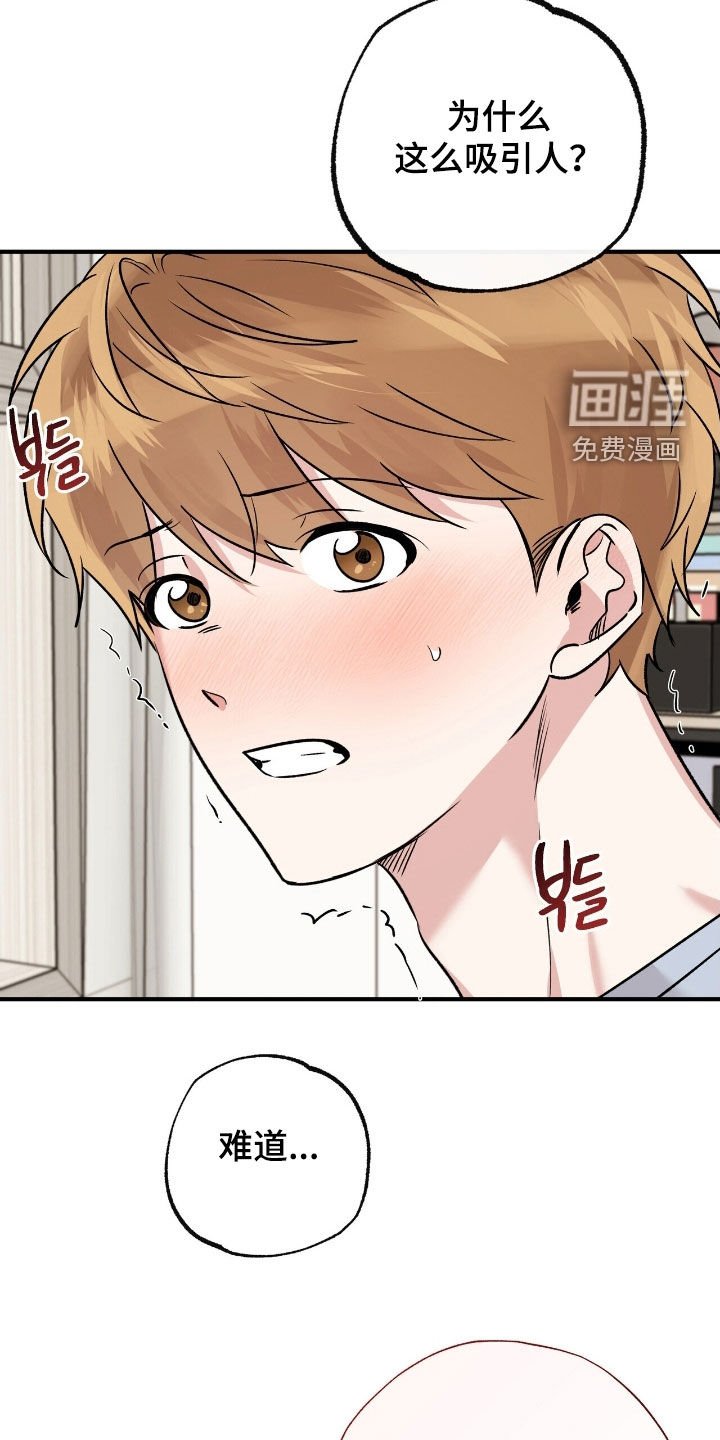 第82章：是因为我吗