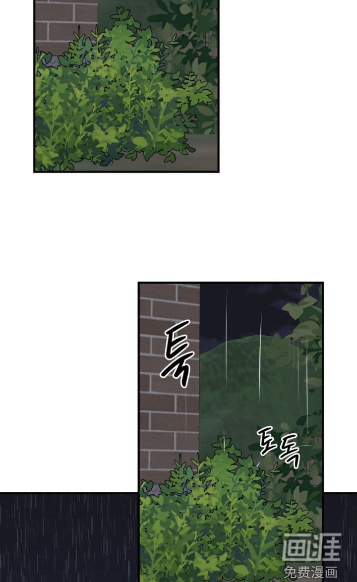 第85章：疯狗