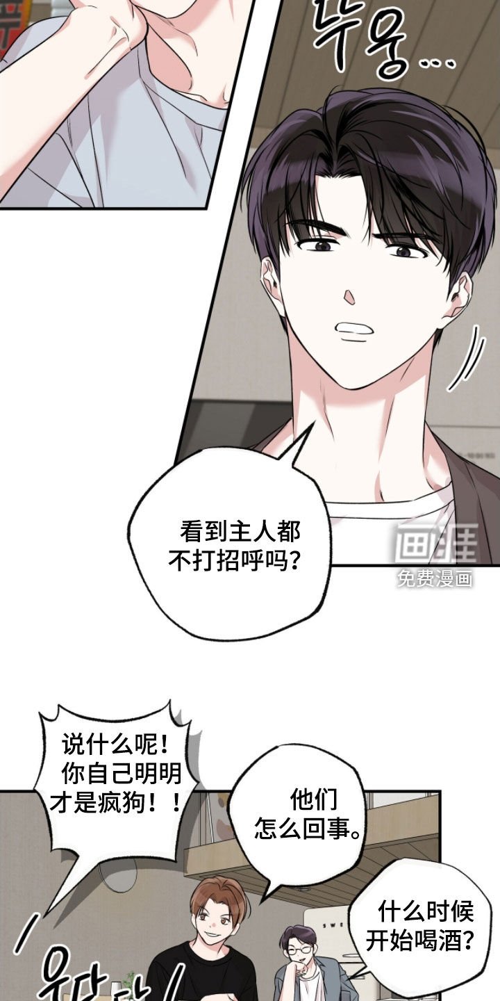 第85章：疯狗