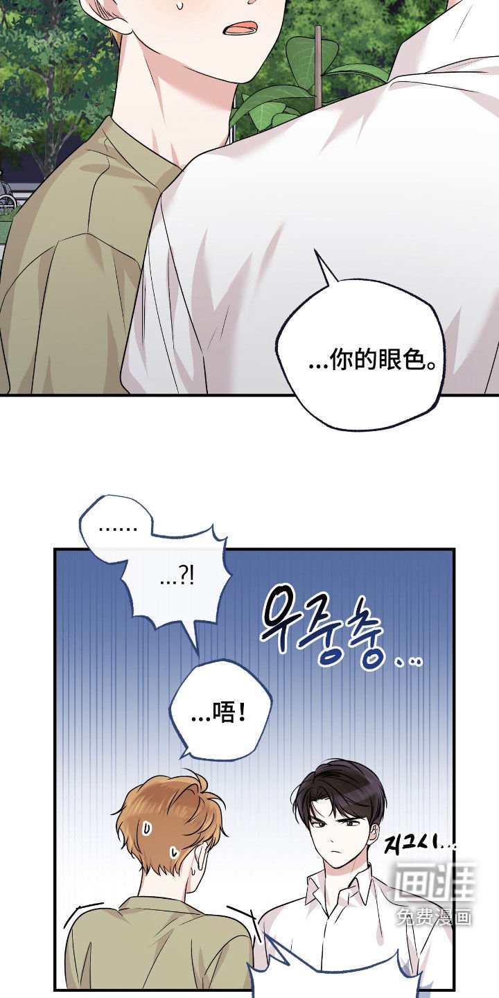 第89章：新的家人