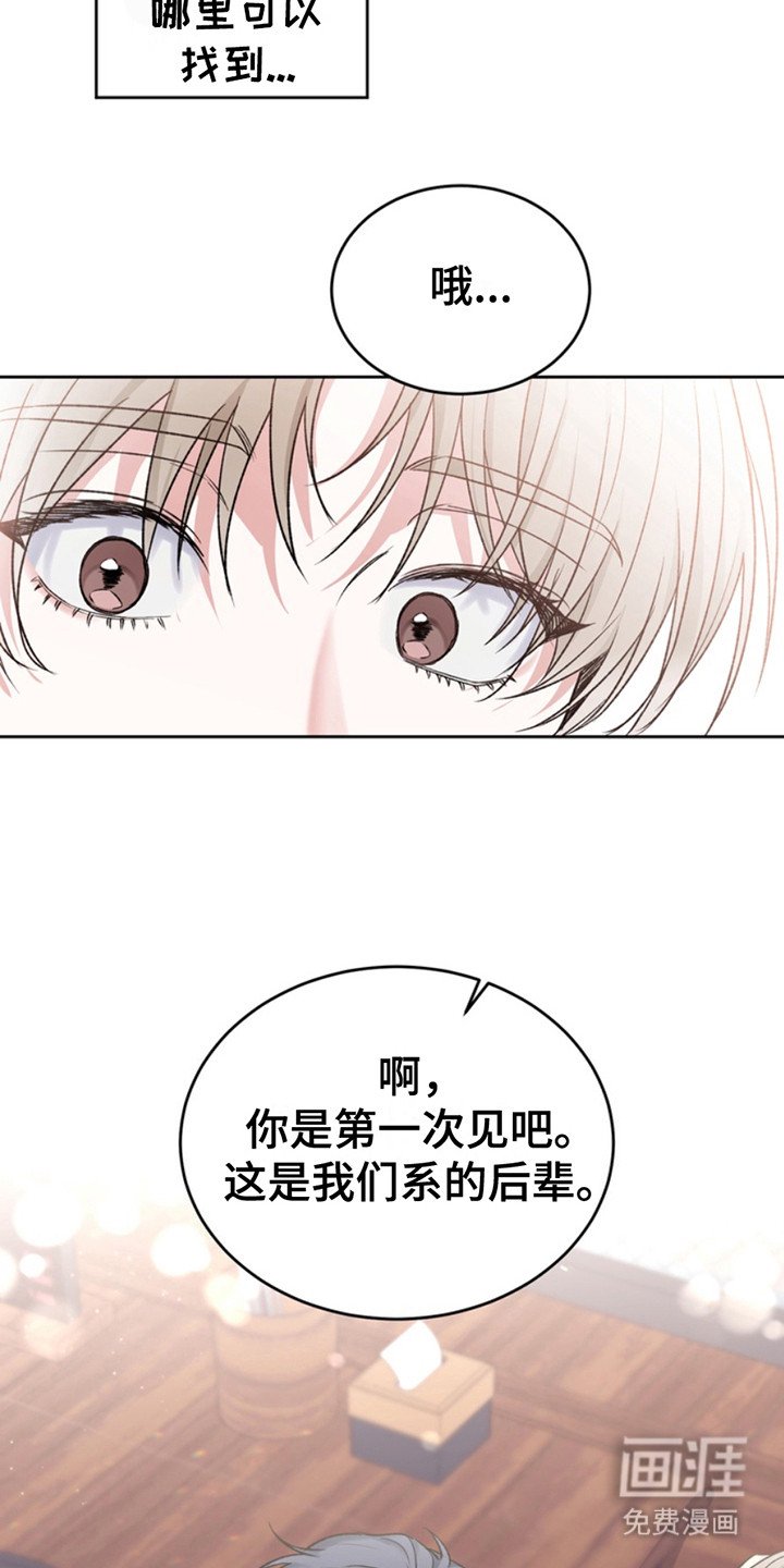 第16章：临时保护：后辈