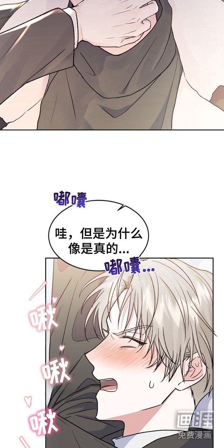 第18章：临时保护：带回家
