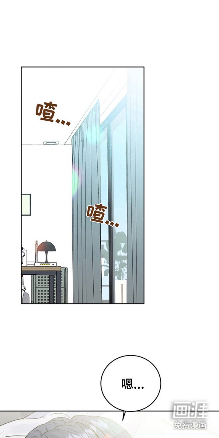 第19章：临时保护：坐立不安