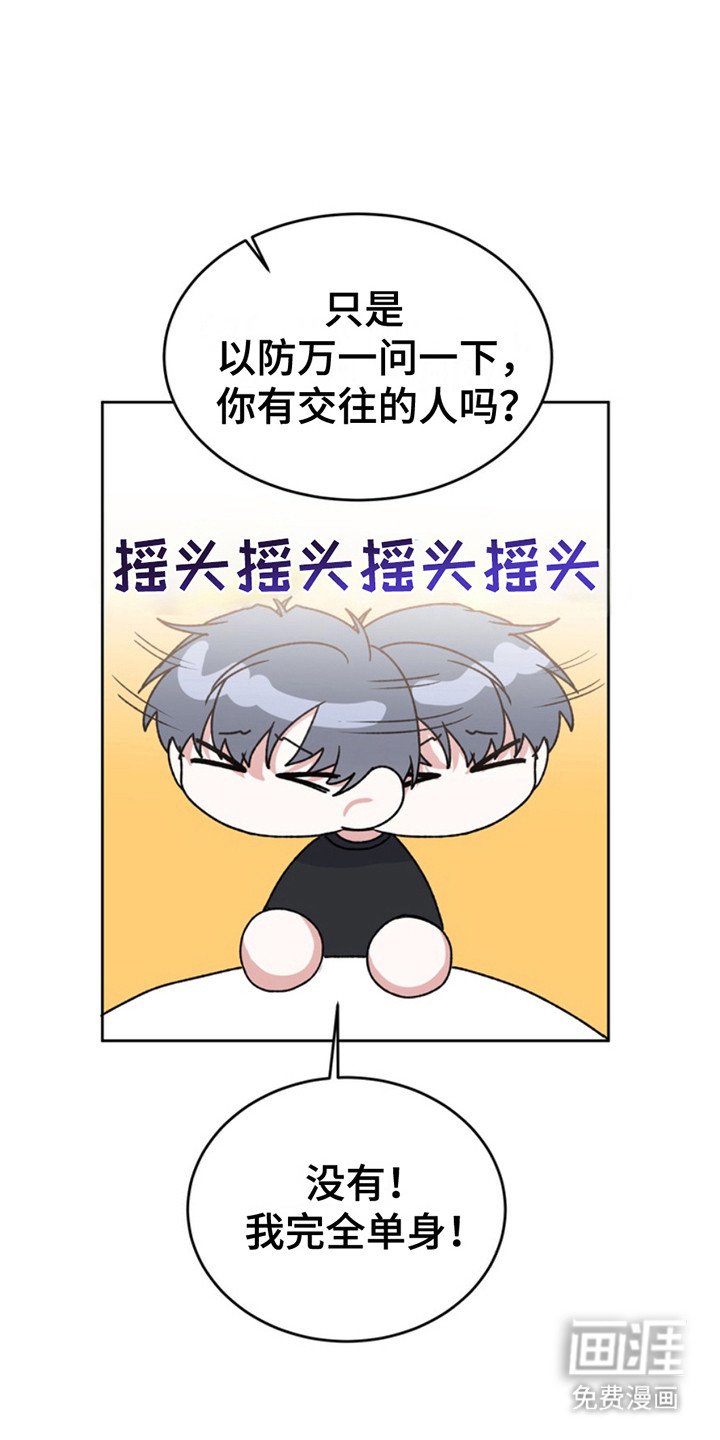 第20章：临时保护：不太妙