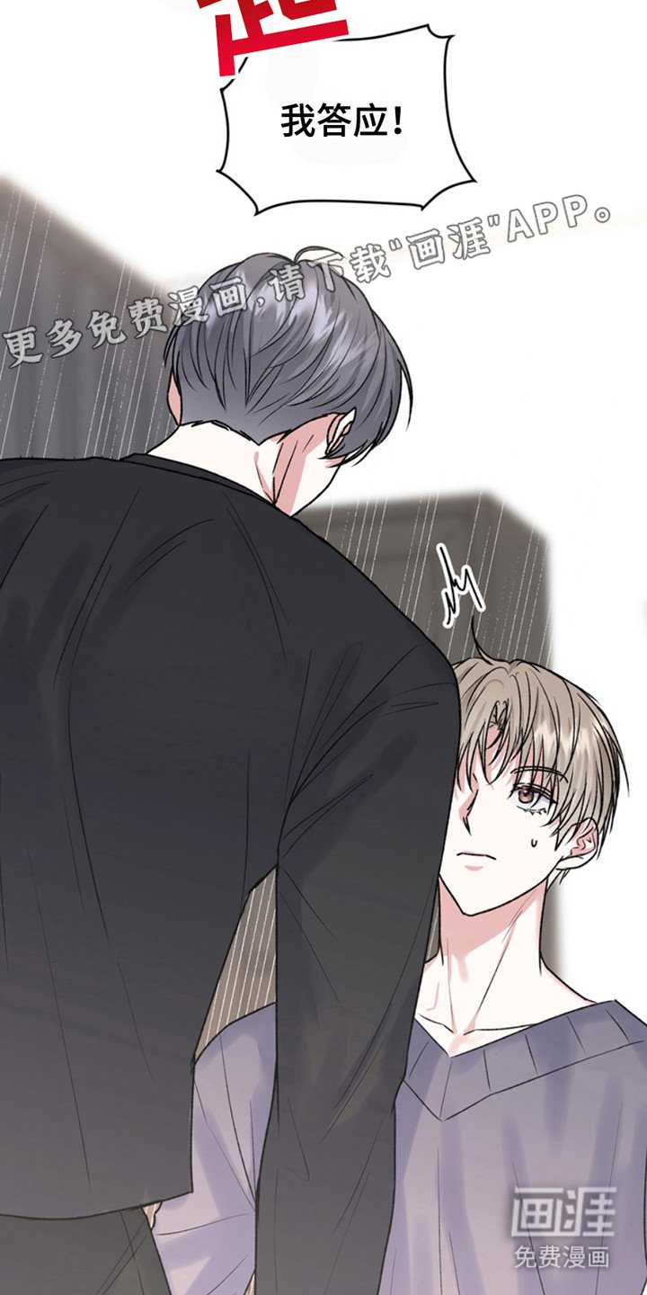 第20章：临时保护：不太妙