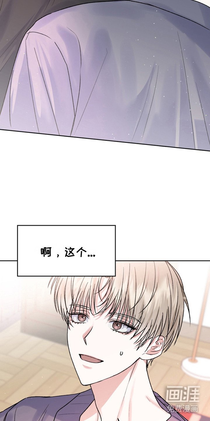 第20章：临时保护：不太妙