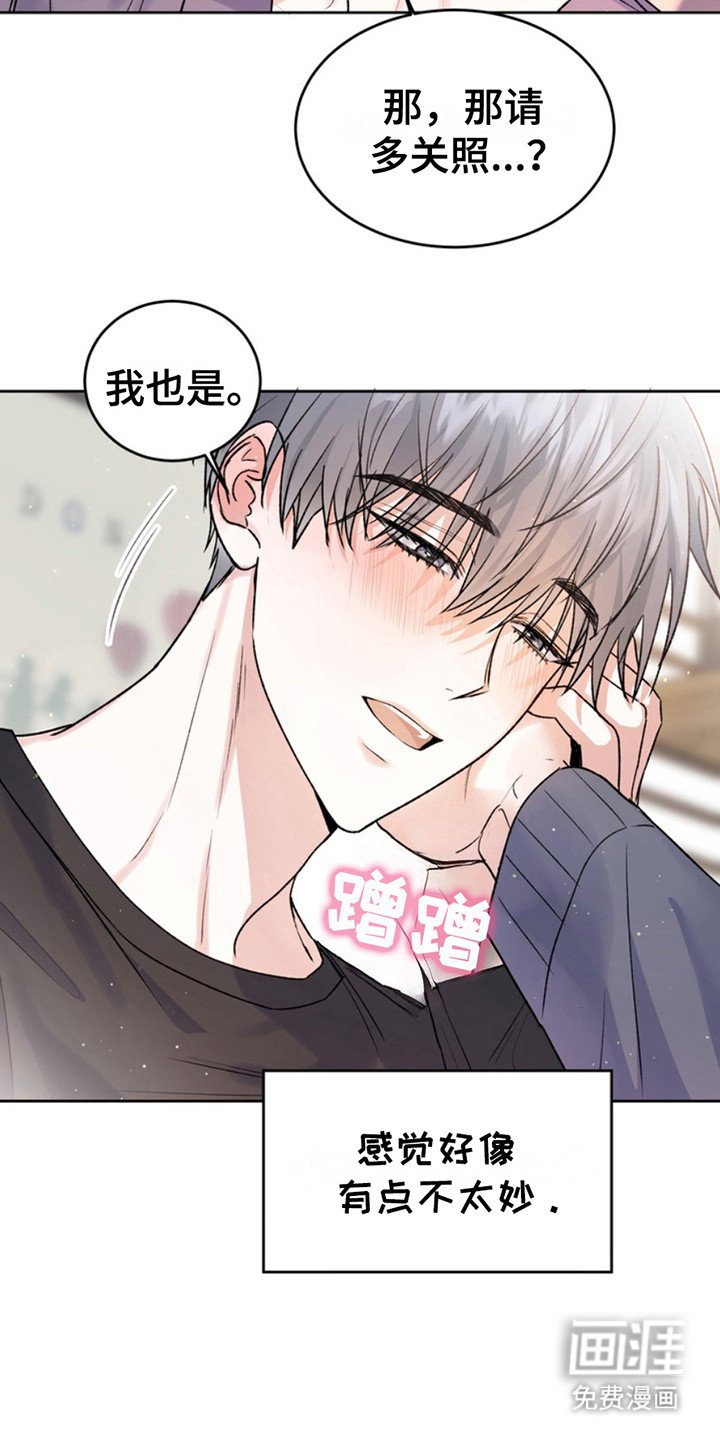 第20章：临时保护：不太妙