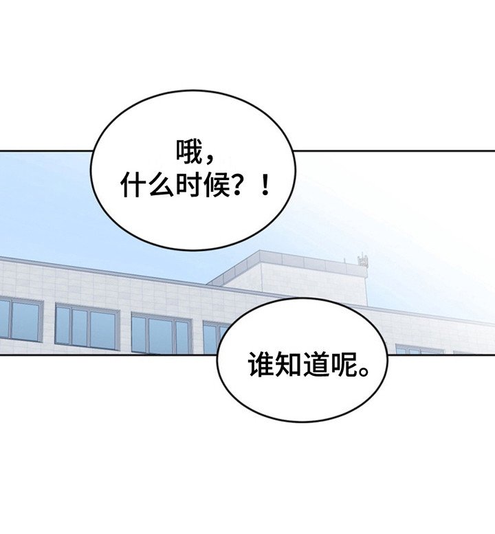 第20章：临时保护：不太妙
