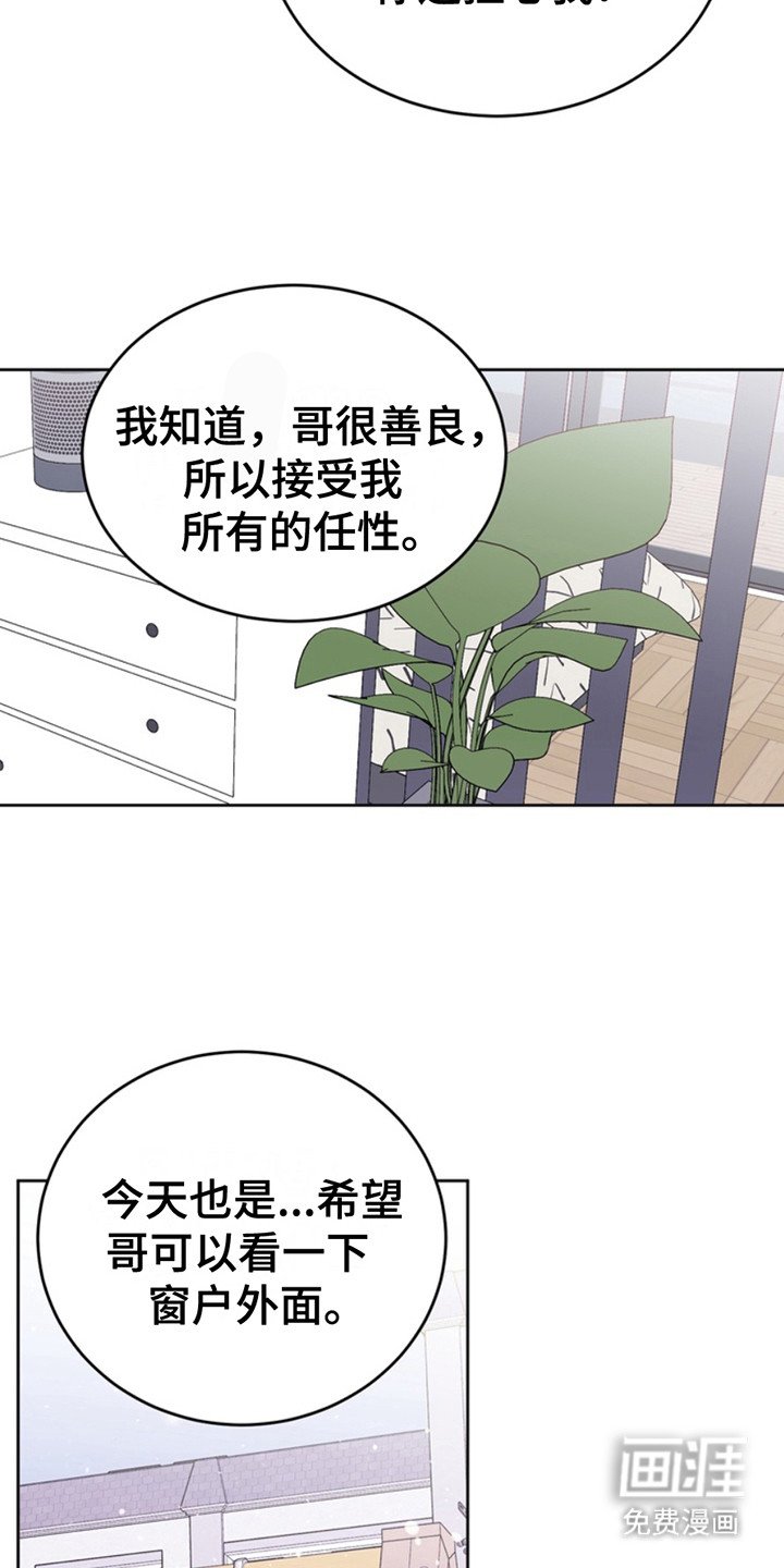 第24章：临时保护：因为是你
