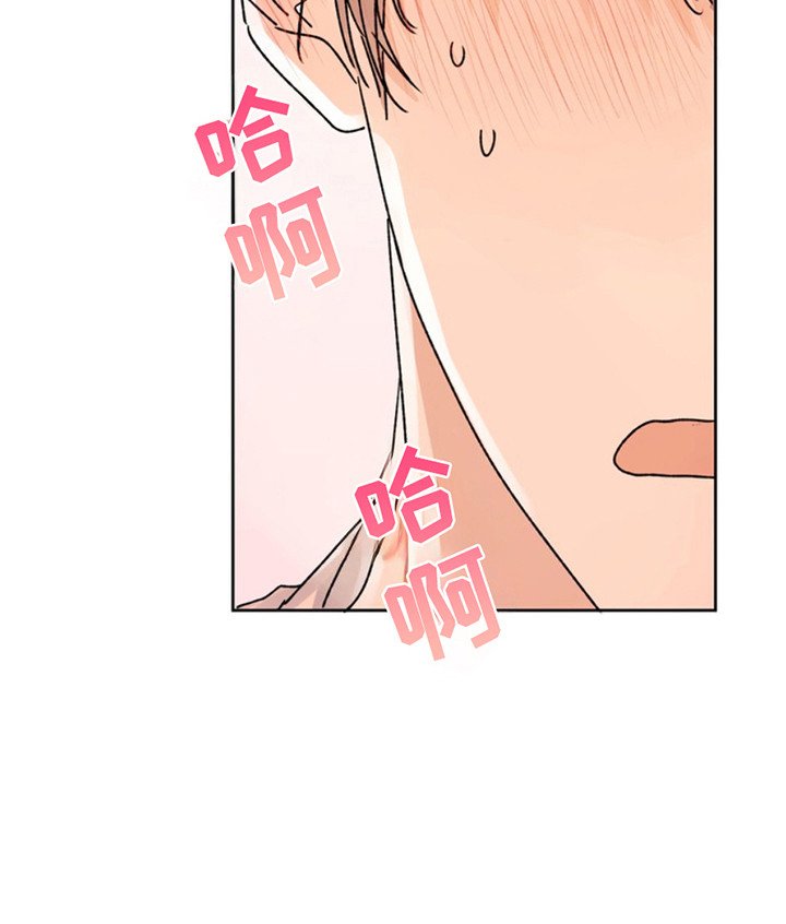 第24章：临时保护：因为是你