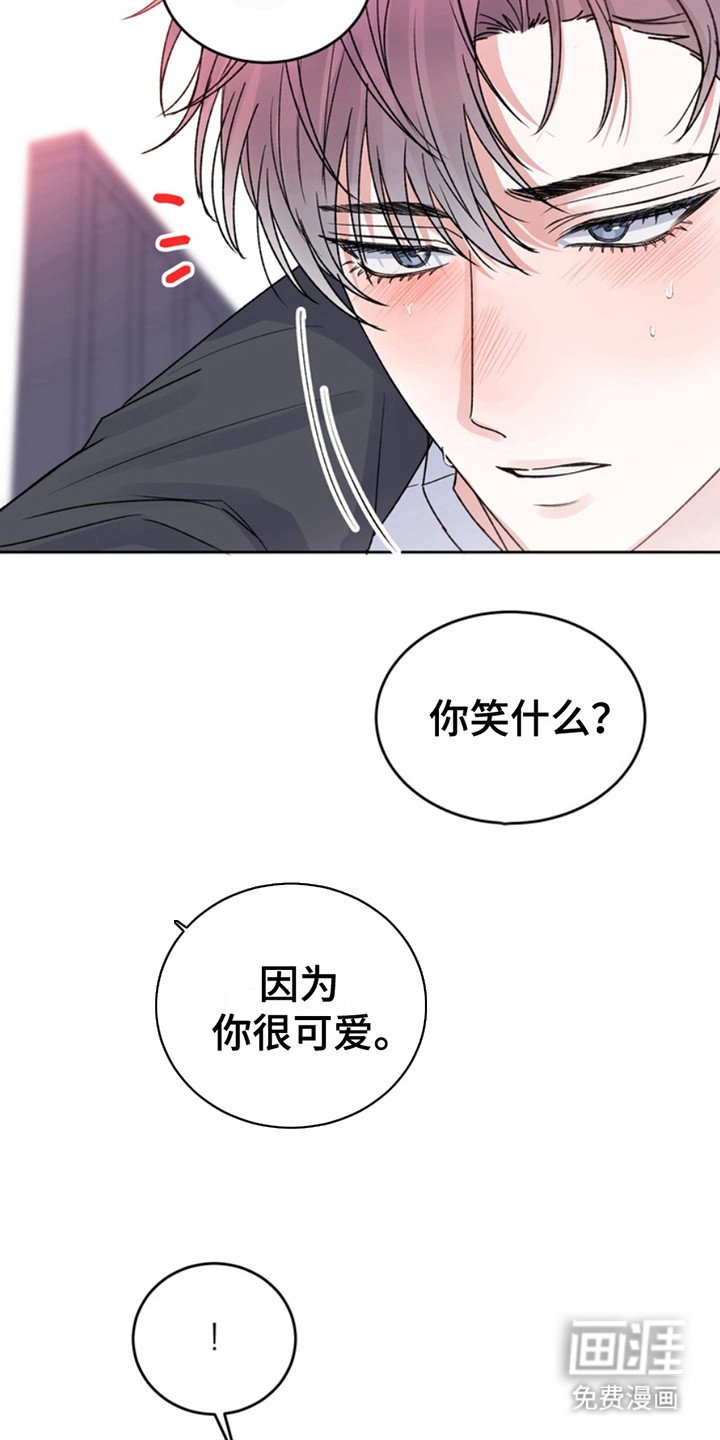 第25章：临时保护：十分感动（完）