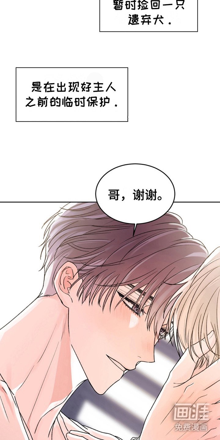 第25章：临时保护：十分感动（完）