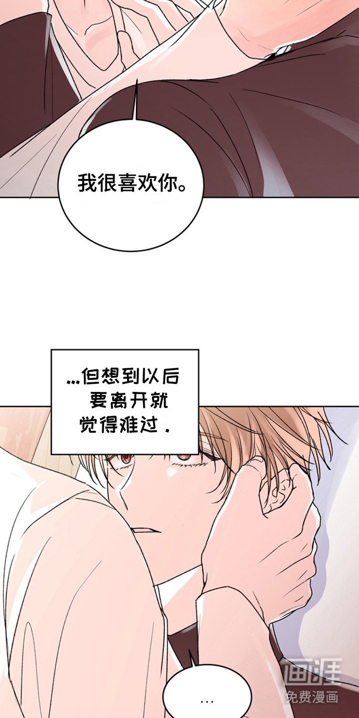 第25章：临时保护：十分感动（完）