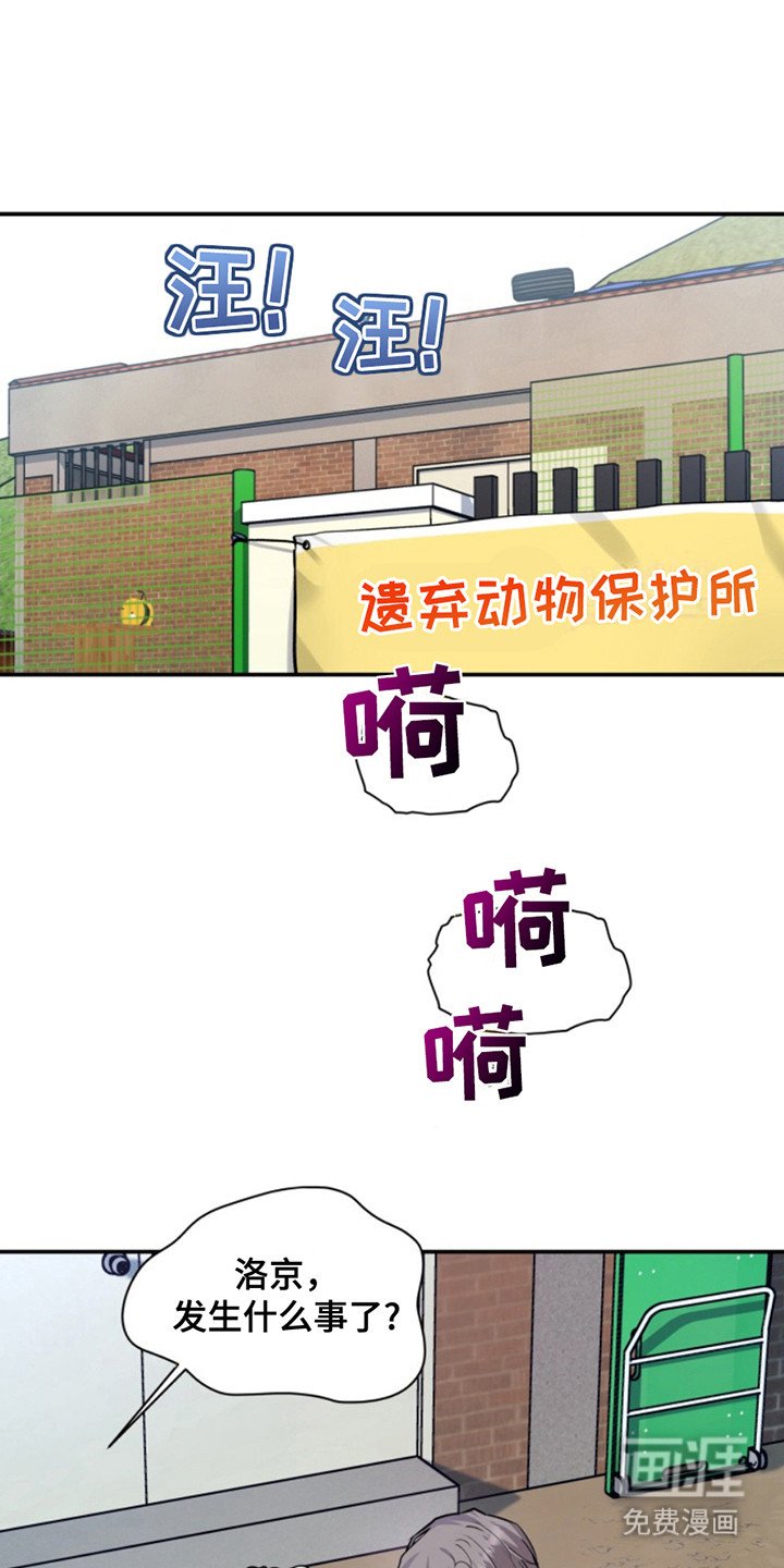 第30章：暖暖的锅炉：交集