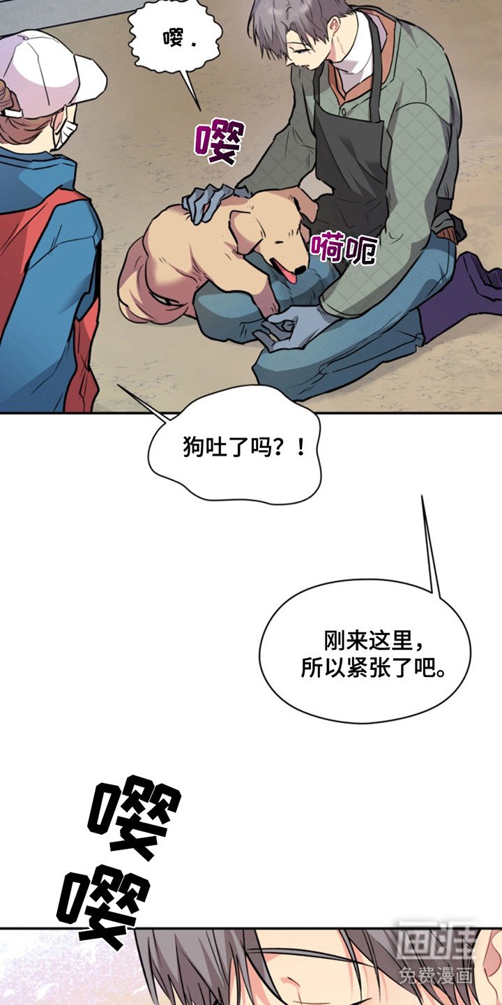 第30章：暖暖的锅炉：交集